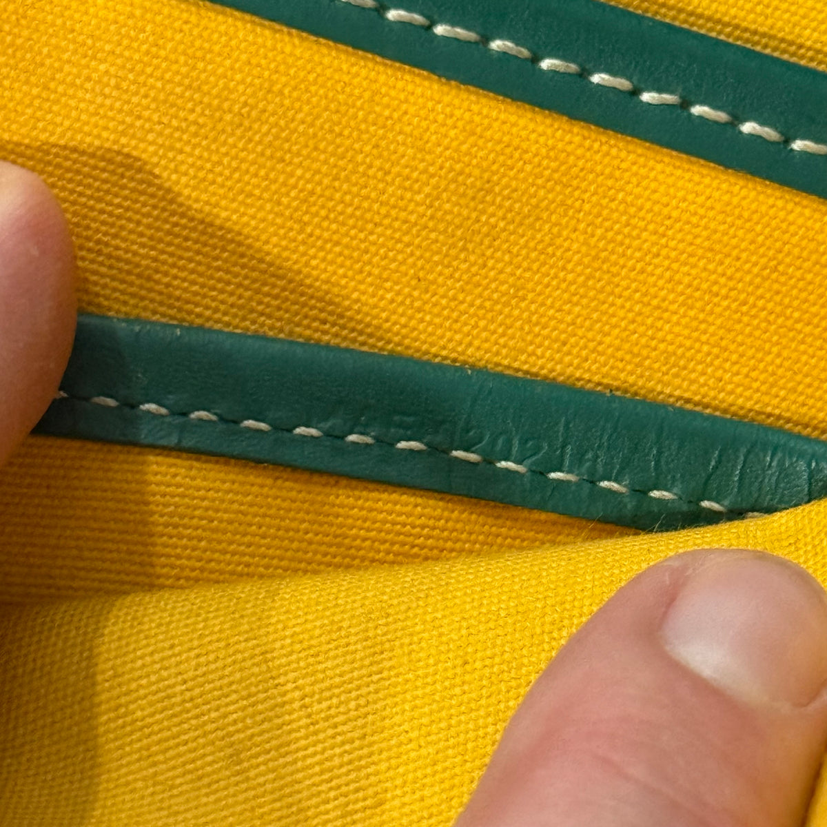 Goyard Belvedere MM Messenger Side Bag Green