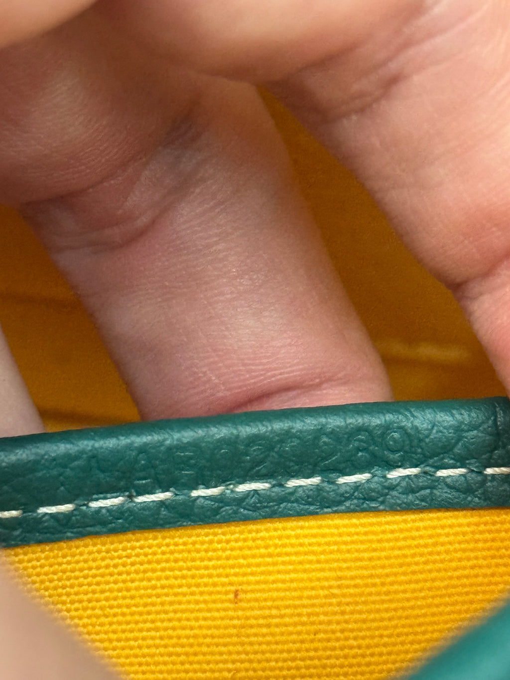 Goyard Belvedere MM Messenger Sidebag Green