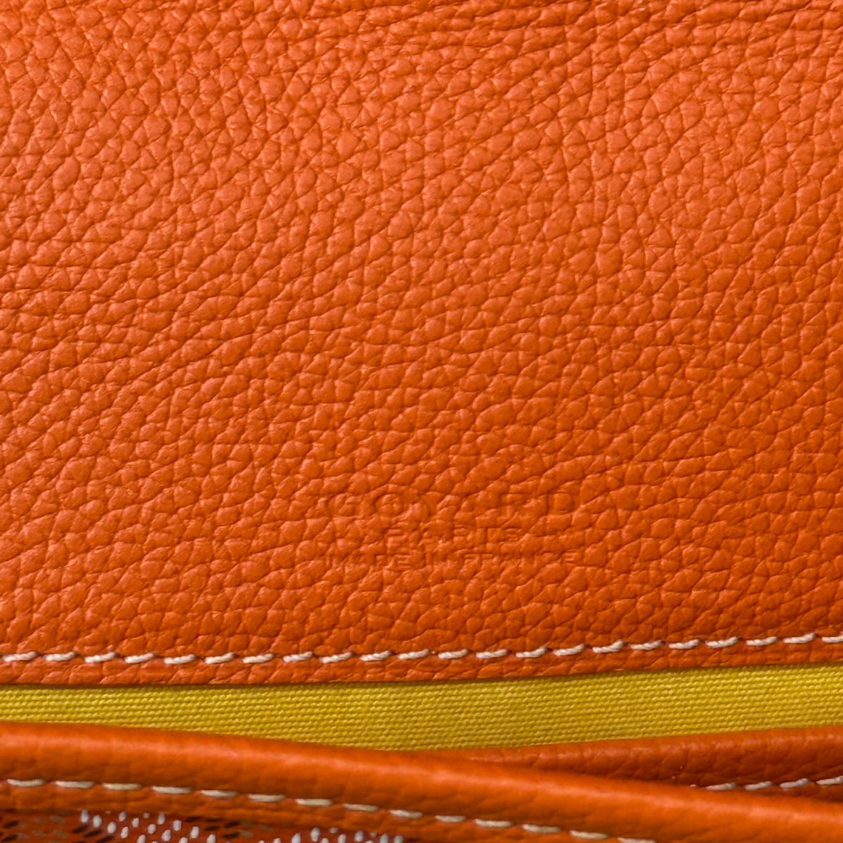 Goyard PM Belvedere Side Bag Orange